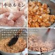 画像5: 【ギフト】ホルモンキーマカレー5袋セット (5)