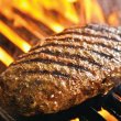画像3: 【ギフト】こだわりの網ハンバーグセット (3)