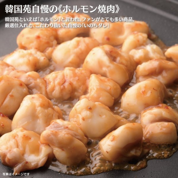 画像1: 【ギフト】ホルモン焼肉セット (1)