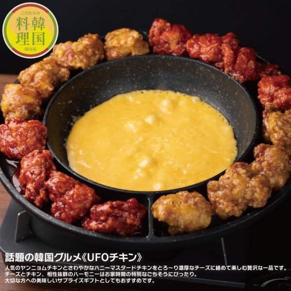 画像1: 【ギフト】韓国UFOチキンセット（ヤンニョム＆ハニーマスタード） (1)